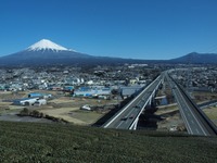 新東名・浜松-駿河湾沼津で自動運転専用レーン設置計画が浮上［新聞ウォッチ］ 画像