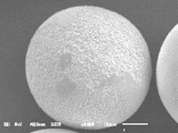 レアアースフリーを実現したリチウムイオン電池、東レが電極材料量産技術を開発 画像