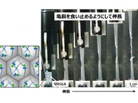 横浜ゴムと信州大学、高分子微粒子から亀裂が進みにくいゴム材料を開発 画像