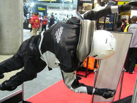 【東京モーターサイクルショー09】進化するプロテクターの世界 画像