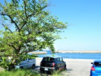 “暑さ対策“ 知っておくべき知識！ 「日陰」なら駐車時の車内温度上昇を抑えられる？【カーライフ 社会・経済学】 画像