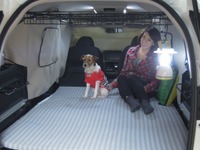 停電時に家族と愛犬の命を守るには？…クルマでの避難が選択肢の一つに【青山尚暉のわんダフルカーライフ】 画像