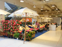 【バンコクモーターショー09】疲れたらマッサージに癒される 画像