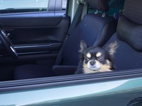 夏の終わりに必須！ 愛車の車内クリーニング＆消臭ガイド～Weeklyメンテナンス～ 画像