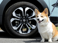 愛犬家の4人に1人、お泊り旅行の経験あり…ホンダアクセス調べ 画像