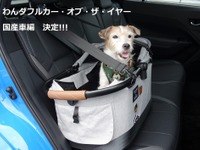 わんダフル カー・オブ・ザ・イヤー 国産車編、今年は国産ドッグフレンドリーカーの豊作年！【青山尚暉のわんダフルカーライフ】 画像