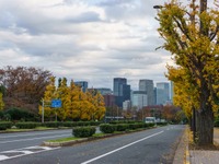 日本の移動問題解決へ、モビリティプラットフォーム事業者協議会設立 画像