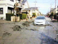 改めてペットとの同行同伴避難について考えてみる 2024【青山尚暉のわんダフルカーライフ】 画像