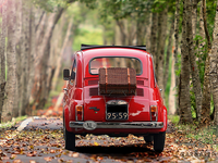 なぜ、旧車を所有する？ デザインが好きで、長く乗り続けたい…旧車好きの声 画像