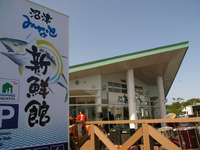 静岡 沼津港に地場産のフードコートが誕生 画像