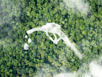 カーボンニュートラル燃料とは何か？ 第3回…アルコール燃料とバイオ燃料【池田直渡の着眼大局】 画像