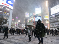 首都高速が大雪対策の新体制を発表---構造が特徴的 画像