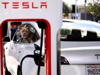 【株価】テスラが3%下落、1~3月期決算は5四半期連続の営業減益予想が大勢 画像