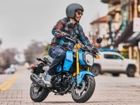 ホンダ『グロム』、日本にない青と赤を設定…米2025年型は6月中に発売へ 画像