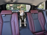 愛犬とドライブするのに役立つクルマの機能＆装備とは？ その2【青山尚暉のわんダフルカーライフ】 画像