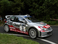 【WRCサンレモラリー】プジョー勝ってマジック「3」 画像