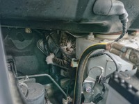 ネコバンバンでトラブル回避、JAFへの救援要請は夏が多い！ 画像
