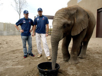 フレンツェン、アメリカGPでの復帰戦に意欲 画像