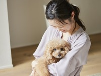 「愛犬を旅行に連れていきたい」96.3%、コロナ禍より旅費は増えた…ペットツーリズム需要調査 画像