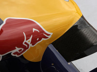 レッドブルの新サードドライバーにアルグエルスアリ 画像