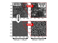 横浜ゴム、新画像処理技術を開発…ゴム材料の内部構造を鮮明化 画像