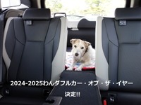 わんダフル カー・オブ・ザ・イヤー2024！ 愛犬家と愛犬にとってベストな一台とは【青山尚暉のわんダフルカーライフ 最終回】 画像