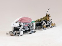 ヤマハ発動機が「魔改造」マシン出展！イノベーション創出めざす交流イベント「YOXO FESTIVAL 2025」参加へ 画像