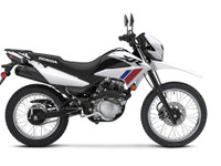 米ホンダ、デュアルスポーツ『XR150L』の2025年モデル発表…新色グレーが登場 画像