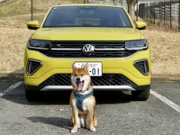 【VW Tクロス TSI R-Line 新型試乗】人にも中型犬にも“ちょうどよさ”が魅力…島崎七生人 画像