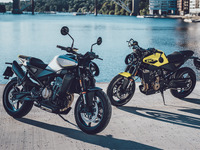 個性派デザインの新型ネイキッド、ハスクバーナ『ヴィットピレン801』8月発売へ　145万9000円 画像