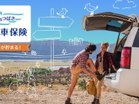 三井ダイレクト損保、ANAマイル付き自動車保険「明日へのつばさ」発売 画像