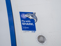 サメ肌の飛行機、飛ぶ！ ANAが特殊フィルム「AeroSHARK」採用 画像