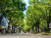 走りも快適性も守る！ 車高調、オイル、電装系まで“お手入れ完全マニュアル”～カスタムHOW TO～ 画像
