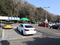 話題のコンペ今年も開催！『まいど大阪 春のプチ車音祭 2025』注目車レビュー　Part 1 画像
