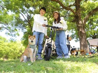「愛犬と走る」ためのモビリティ…電動バイク『ドギー』がVer.3に 画像