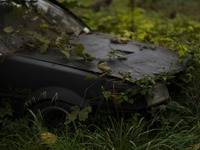 家の前に勝手に停められた車、動かしたらこっちが違法！ 正しい対処法って？ 画像