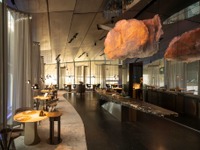 BMW博物館に新レストラン開業、BMWデザインを反映した空間に 画像