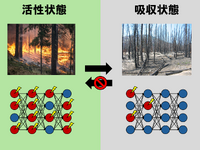 アイシンや東京大学、ディープラーニングに統計物理学の普遍法則を発見 画像