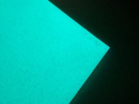 災害時誘導用「蓄光シート」、日本初となる路面施工…屋外路面での耐久性 画像