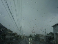 台風圏内だっ!! 走行する自動車は注意して 画像