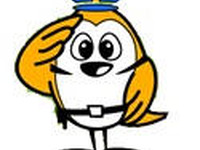 イノシシを避けようとして　路外逸脱、死亡 画像