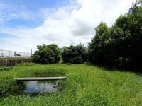 横浜ゴムの三重と尾道工場、国の「自然共生サイト」に認定…生物多様性保全活動が評価 画像