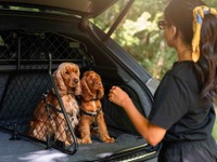 ベントレーのSUV『ベンテイガ』専用、ペットアクセサリーコレクション発表…特注ドッグガードなど 画像