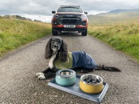 いすゞ『D-Max』で愛犬とアウトドアを楽しむ、公式アクセサリー英国発表…「Ruffwear」とコラボ 画像