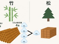 竹由来の複合素材を開発、自動車部品などに活用へ…矢崎総業 画像