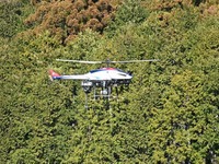 ヤマハ発動機、無人ヘリでリモートセンシング森林情報解析の共同実証開始 画像