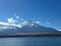 羽田空港～富士山駅直通バス、11月4日から平日運行再開…訪日観光客の利便性向上 画像