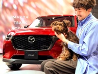 「MAZDA TRANS AOYAMA」、週末限定ドッグカフェ開催へ…11月16日から 画像