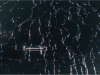 ソフト99「G’ZOX」から撥水・艶・耐久性を極限まで追求したコーティング剤『ハイモース・コート・ヴェリス』登場 画像