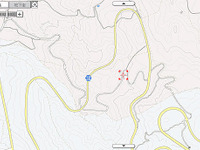 カーブ曲がりきれずに転落、ベルト未着用の1人死亡 画像